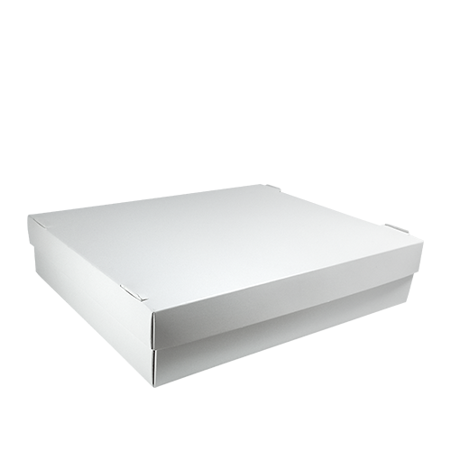 Упаковка для суши БІЛА 250*200*55 1РЕ